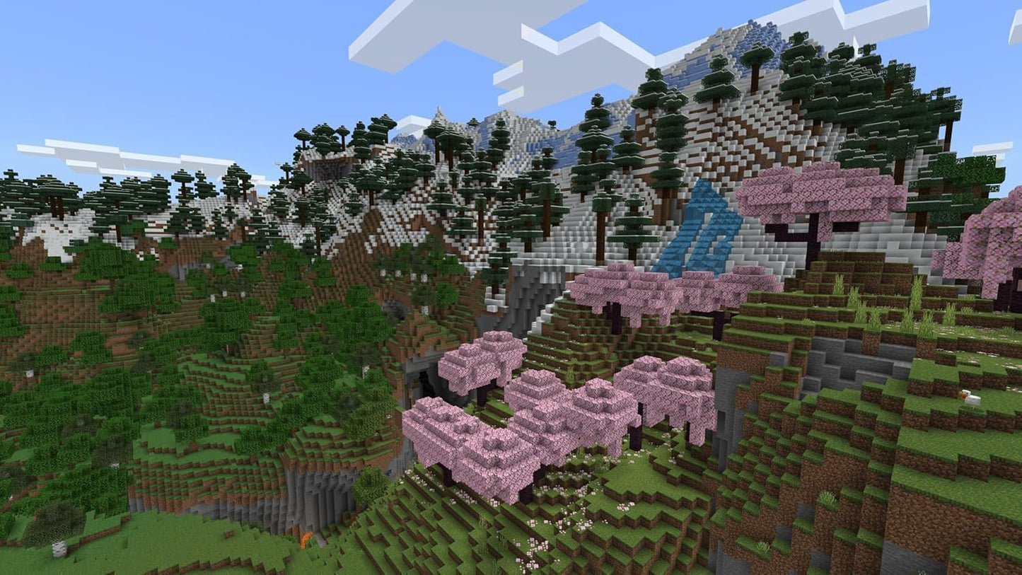 Minecraft New Nintendo Switch