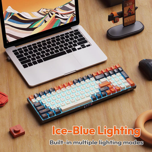 RK ROYAL KLUDGE RK100 Wireless Mechanical Keyboard RGB Backlit Bluetooth5.1/2.4G/Wired 96% Full Size 100-Key Hot Swappable Gaming Keyboard Blue Switch Carbon