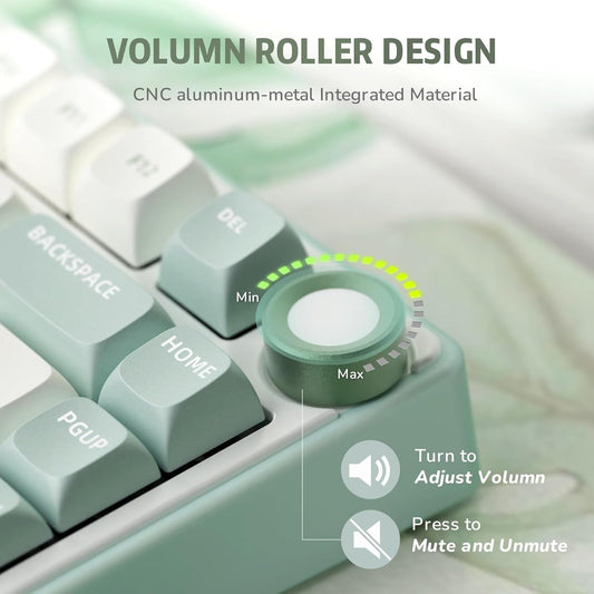 ROYAL Kludge R75 75% Single Mode, Wired Gaming Keyboard, Blue Switch , Sky Cyan ,RKR75-SK-Q