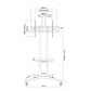 DG 60B Economy Versatile & Compact TV Stand – Mobile TV Cart for 32"–75" TVs | Height Adjustable | VESA 600×400 | 50kg Capacity