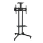 DG 60B Economy Versatile & Compact TV Stand – Mobile TV Cart for 32"–75" TVs | Height Adjustable | VESA 600×400 | 50kg Capacity