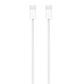 60W USB-C Charge Cable (1 m), MASTER COPY