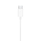 Apple EarPods Earphone with USB-C Connector (MTJY3ZM/A, Master Copy)